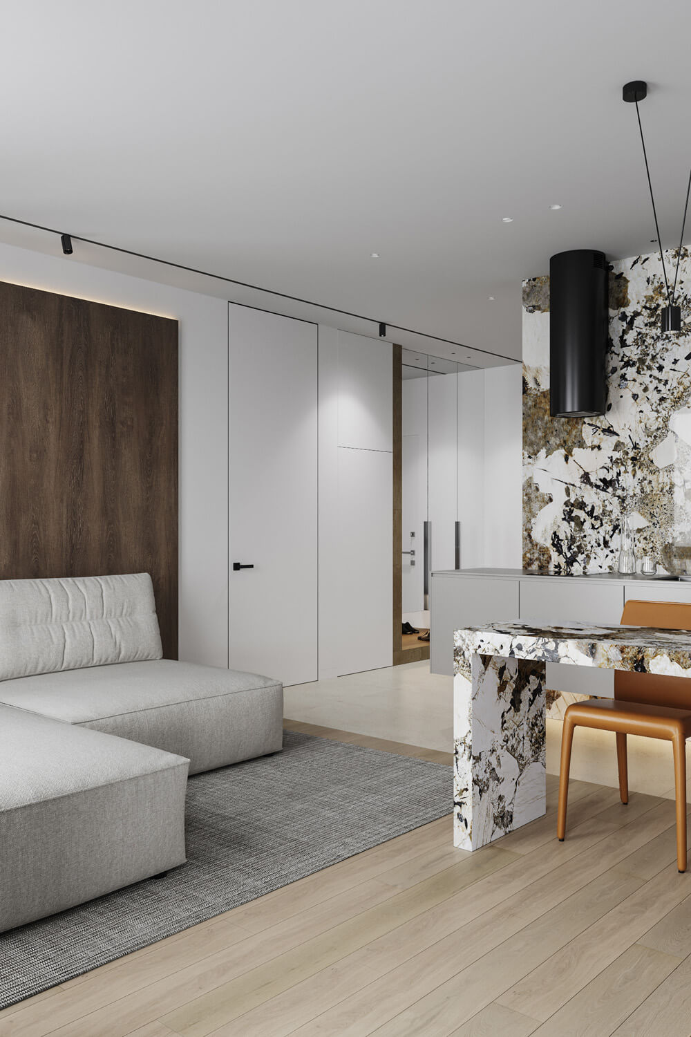 Межкомнатная скрытая дверь Межкомнатная скрытая дверь