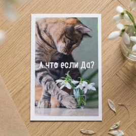 Мини-открытка А что если да 5,5*8см