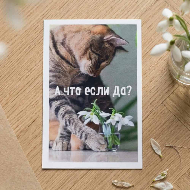 Мини-открытка А что если да 5,5*8см