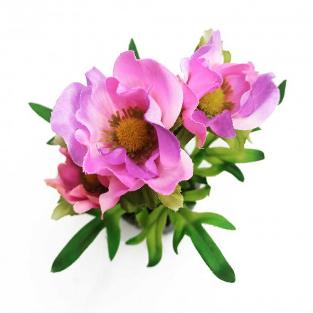 Цветок в кашпо Анемона розовая H-20см