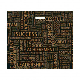 Пакет с вырубной ручкой Графика 60*50см 70мкм 50шт