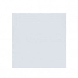 Пакет прозрачный 10*10см 100шт