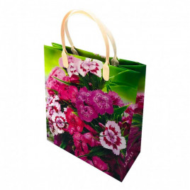 Пакет сумка размер 23*26см Le Sian