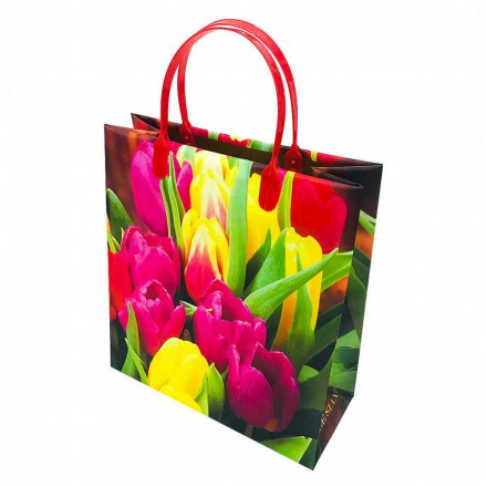 Пакет сумка размер 23*26 см Тюльпаны