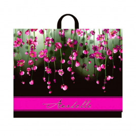 Пакет с петлевой ручкой Анабель 60*50см 70мкм 25шт