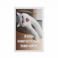 Мини-открытка Котики Жизнь замечательна размер 5,5*8см