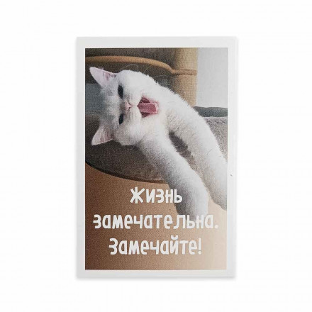 Мини-открытка Котики Жизнь замечательна 5,5*8см