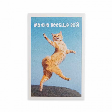 Мини-открытка Котики Можно вообще всё 5,5*8см
