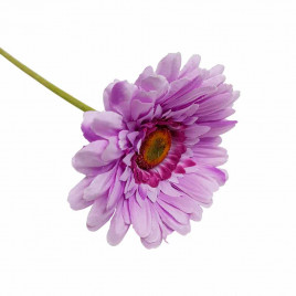 Гербера фиолетовая H-60см d-10см
