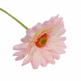 Гербера розовая H-60см d-10см