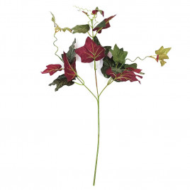 Плющ Голландский сад H-61см