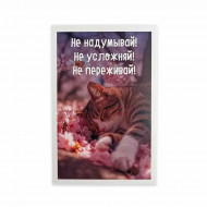 Мини-открытка Котики Не надумывай размер 5,5*8см