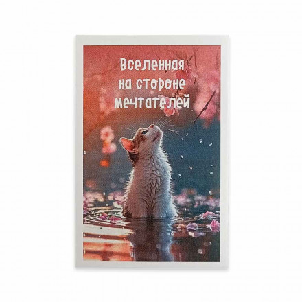 Мини-открытка Котики Вселенная на стороне мечтателей 5,5*8см