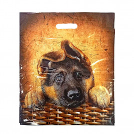 Пакет с вырубной ручкой Друг 40*47см 45мкм 50шт