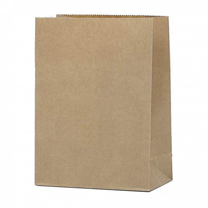 Пакет бумажный крафт 50г/м2 размер 29*22*12см уп 10шт