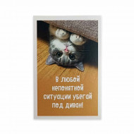 Мини-открытка Котики Убегай под диван 5,5*8см