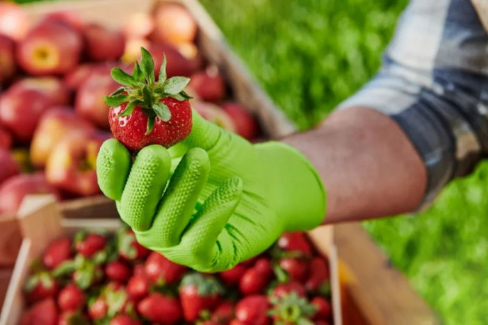 Перчатки нитриловые GOGRIP особопрочные зеленые 25 пар M, L, XL