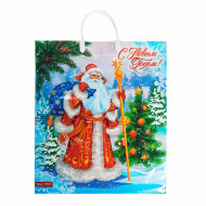 Пакет с пластмассовыми ручками Дед Мороз размер 40*44см