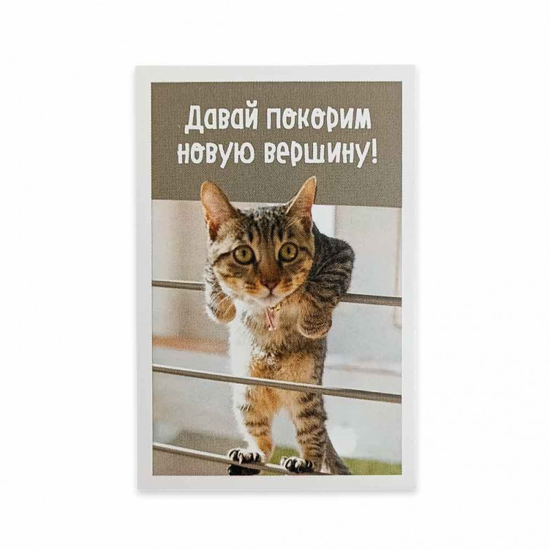 Мини-открытка Котики Покорим вершину 5,5*8см