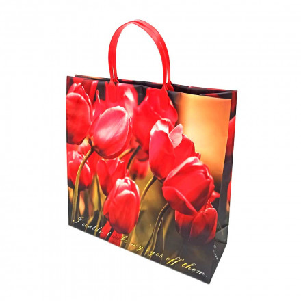 Пакет сумка размер 30*30см Алые тюльпаны