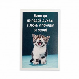 Мини-открытка Котики Не падай духом 5,5*8см