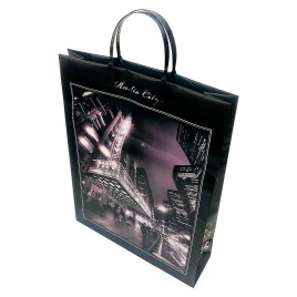 Пакет сумка размер 32*40см Music hall