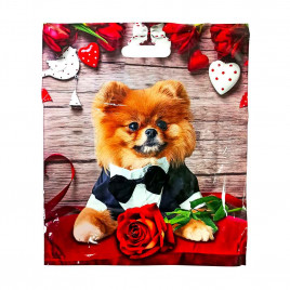 Пакет с вырубной ручкой Йорк в костюме 38*47см 60мкм 50шт