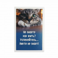 Мини-открытка Котики Не знаете как жить 5,5*8см