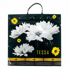Пакет с пластмассовыми ручками 36*40см Tessa 10шт