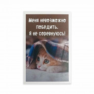 Мини-открытка Котики Меня невозможно победить 5,5*8см