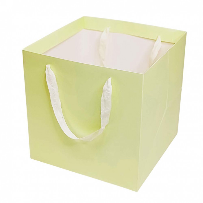 Пакет ЛЮКС однотонный размер 25*25*25см