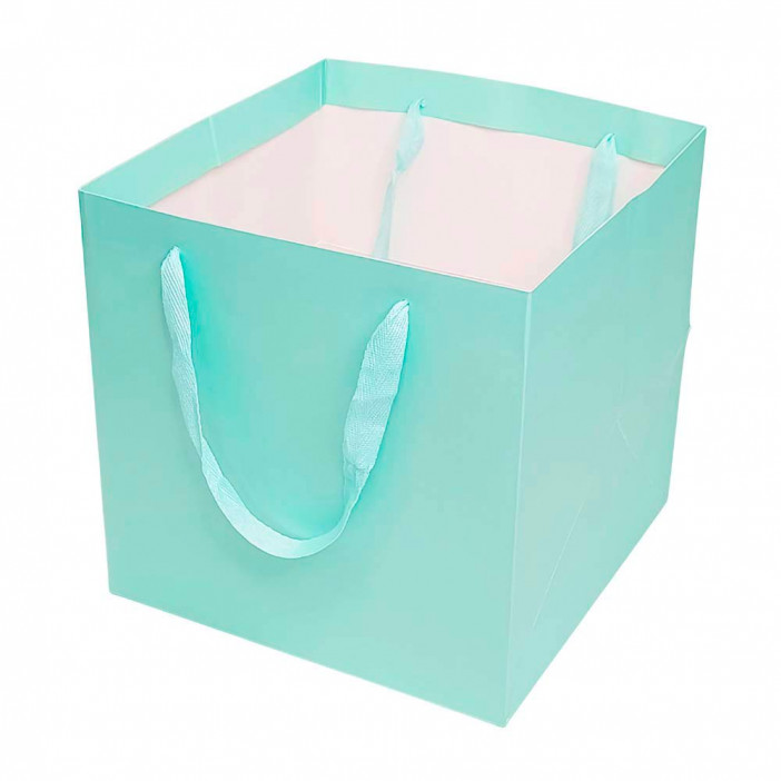 Пакет ЛЮКС однотонный размер 25*25*25см