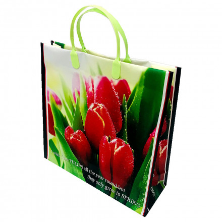 Пакет сумка размер 30*30см Красные тюльпаны