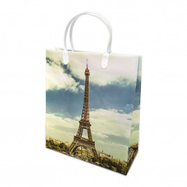 Пакет сумка размер 23*26см Эйфелева башня