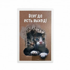 Мини-открытка Котики Всегда есть выход 5,5*8см