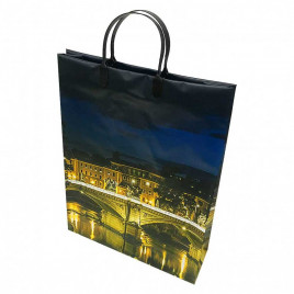 Пакет сумка размер 32*40см Мост