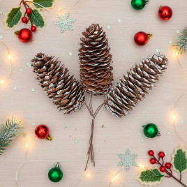 Шишки заснеженные 4*9см 3шт