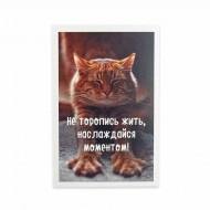 Мини-открытка Котики Не торопись жить 5,5*8см