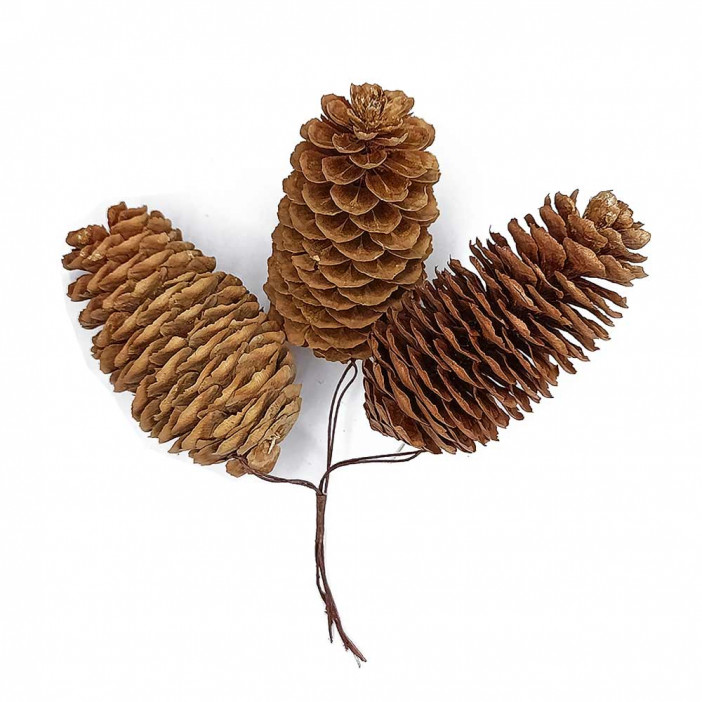 Шишки натуральные 4*9см 3шт