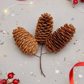 Шишки натуральные 4*9см 3шт