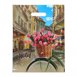 Пакет с вырубной ручкой Отель 31*40см 60мкм 50шт