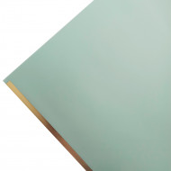 Пленка матовая Золотой кант пастельно-зеленая размер 58*58см