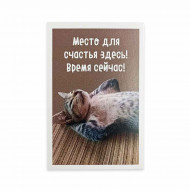 Мини-открытка Котики Место для счастья 5,5*8см