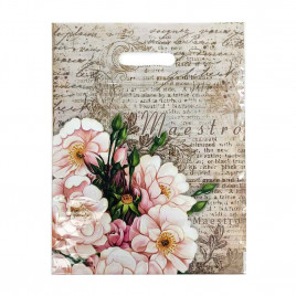 Пакет с вырубной ручкой Маэстро 31*40см 60мкм 50шт