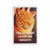 Мини-открытка Котики Твое спокойствие 5,5*8см