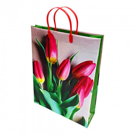 Пакет сумка размер 32*40см Красные тюльпаны