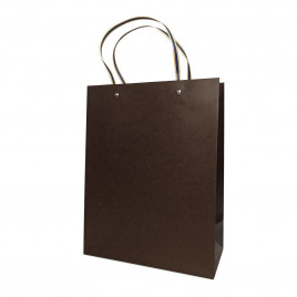 Пакет ЛЮКС однотонный размер 19*25*10см