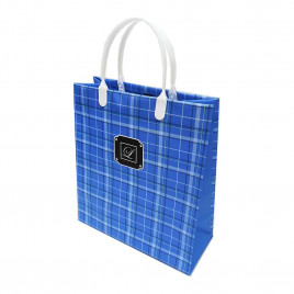 Пакет сумка размер 23*26см Клетка голубой