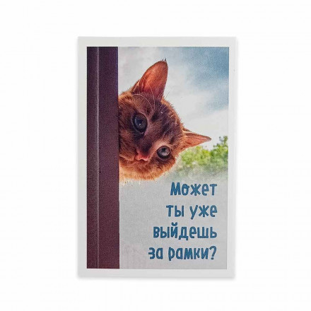 Мини-открытка Котики Выйдешь за рамки 5,5*8см