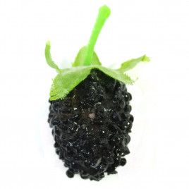 Ежевика H-3,5см